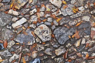Stone pavement after rain in winter time - 697717768