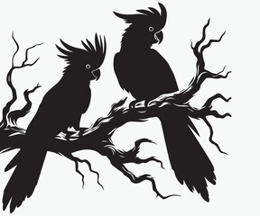 Two Black cockatoos sitting on the branches of a tree vector illustration © Arman