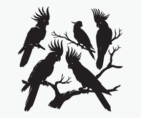 Set of Black cockatoo sitting on a branch of a tree vector illustration