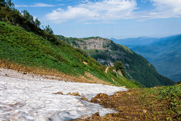 Mountain slope covered with snow and green grass with blooming alpine meadows, selective focus