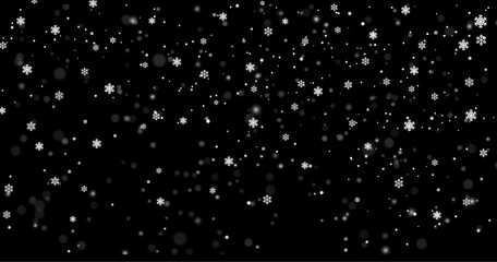 Falling Snow down Black Background