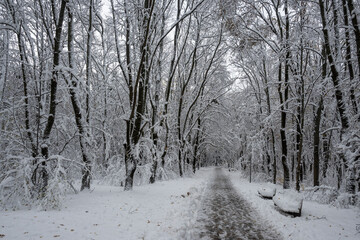 Winter view of South Park in city of Sofia, Bulgaria