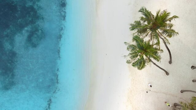 Top down aerial drone view of shoreline in Maldives. Blue water and sandy beach on paradise tropical island
