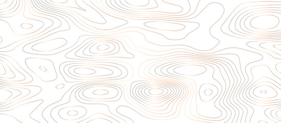 Abstract topographic contours map background. Modern design with White background with topographic wavy pattern design .White wave paper curved reliefs abstract background .geographical map shades.