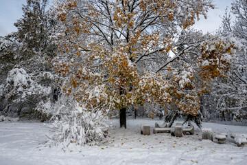 Winter view of South Park in city of Sofia, Bulgaria