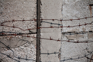 Barbed wire against the background of a concrete wall