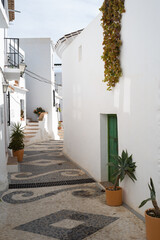 Fototapeta na wymiar Paisaje del pueblo andaluz de Frigiliana (Málaga), con sus típicas casas de color blanco encalado y plantas