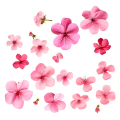 pink and white flowers, PNG