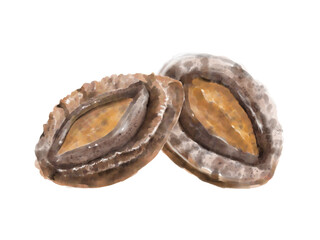 水彩のあわび01_2