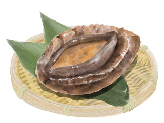 水彩のあわび01_4