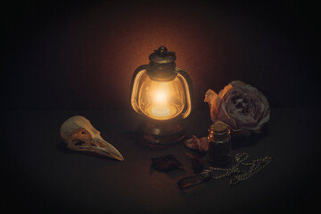 Atmospheric magic items. Birds skull, burning lantern, pale rose flower, amulet in the dark, low key.