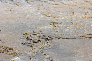 Geothermal formations at Mammoth Hot Springs in Yellowstone National Park