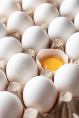 Whole white eggs on egg tray close up. Set of healthy broiler eggs. Pattern