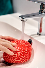 A man's hands washing a red plastic brain under an open faucet.