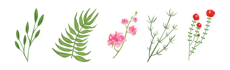 Tropical Blooming Flora and Botany Plant Vector Set