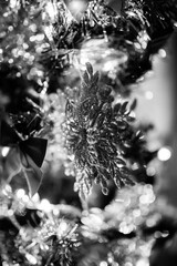 Beautiful Christmas detail