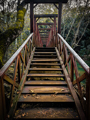 Bridge