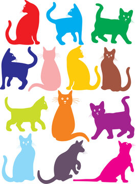LES CHATS TRANQUILLES