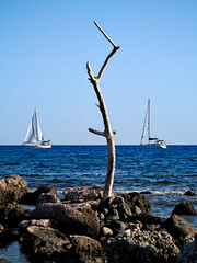 Sailing