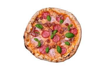 Delicious fresh oven baked pizza with salami, meat, cheese, tomatoes