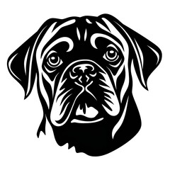 Image of a black and white Pug dog on a black and white background
