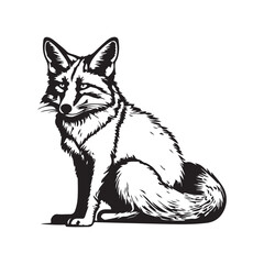 Obraz premium fox cartoon isolated on Black