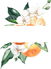 Watercolor Frame with Orchid, Leaves and Oranges