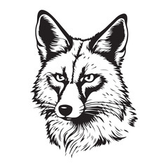 fox cartoon isolated on Black