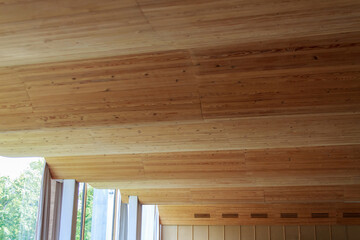 wooden ceiling with a shape for better acoustics in the room, a hall for business