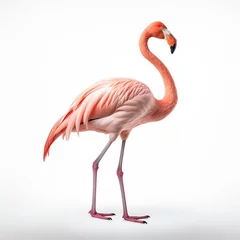 Fotobehang a pink flamingo standing on one leg © Maria