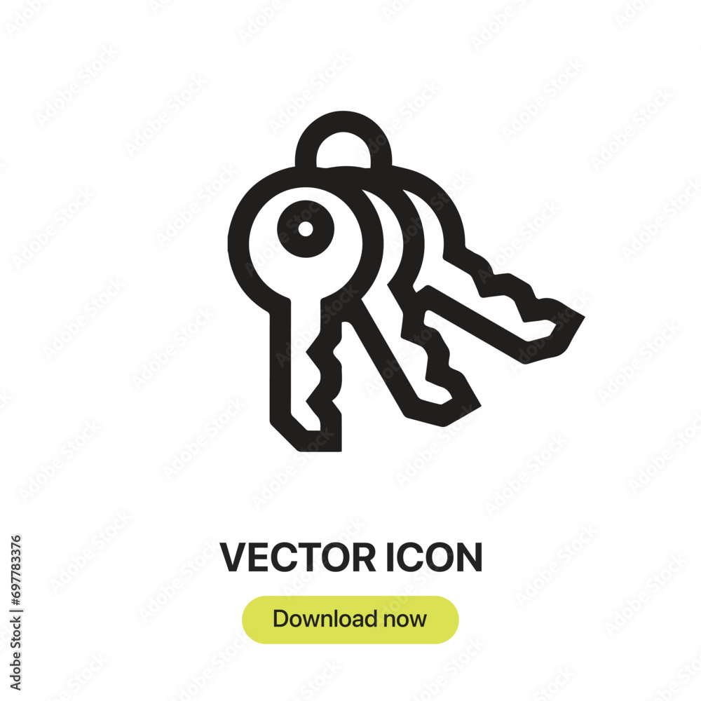Poster Keys icon vector. Linear-style sign for mobile concept and web design. Keys symbol illustration. Pixel vector graphics - Vector.