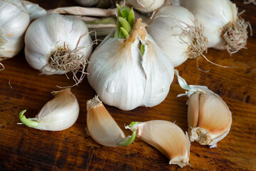 Garlic on a black background in the kitchen - a spicy vegetable