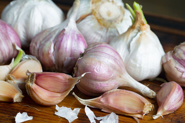 Garlic on a black background in the kitchen - a spicy vegetable
