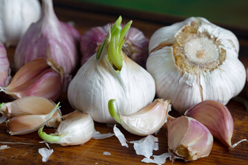 Garlic on a black background in the kitchen - a spicy vegetable