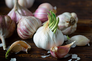 Garlic on a black background in the kitchen - a spicy vegetable