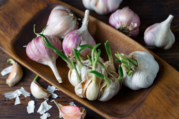Garlic on a black background in the kitchen - a spicy vegetable