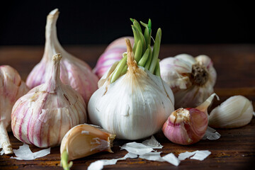 Garlic on a black background in the kitchen - a spicy vegetable