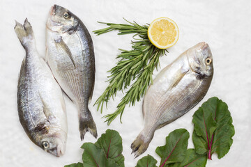 Raw fish with lemon, rosemary sprigs and chard leaves.