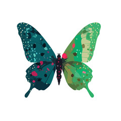 butterfly green blue open wing hand drawn