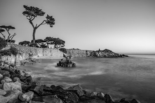 Dramatic long exposure black and white image of lover’s point, Monterey, California, at sunrise 
, with lit trees and clifs.
