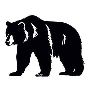 a black bear with white stripes