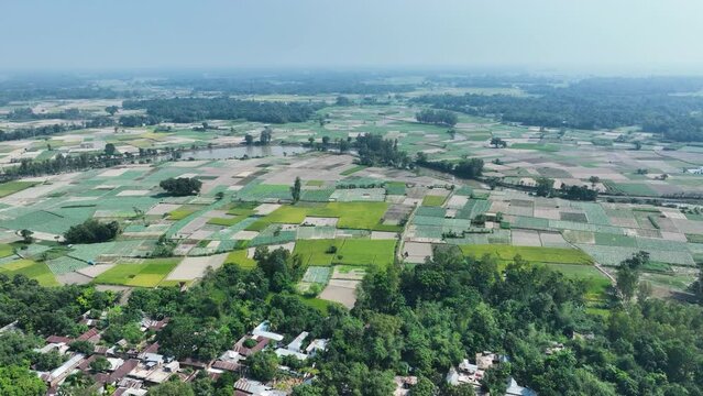 Aerial journey over a sprawling rural landscape, a vibrant kaleidoscope of colors painted by diverse agricultural practices. Patchwork quilt of fields,  showcasing the beauty of nature's palette