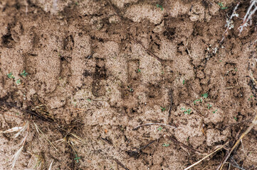Background, texture of footprints in the sand, soil in the forest from a car, ATV. Photography trace.