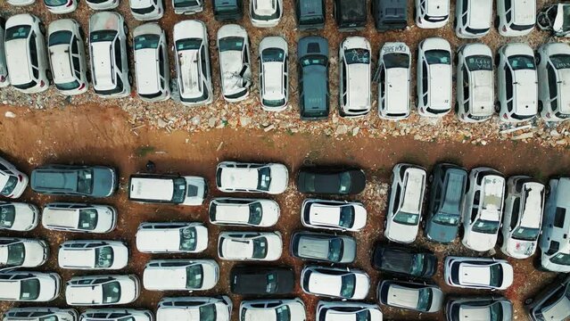 scrapyard junkyard car auction