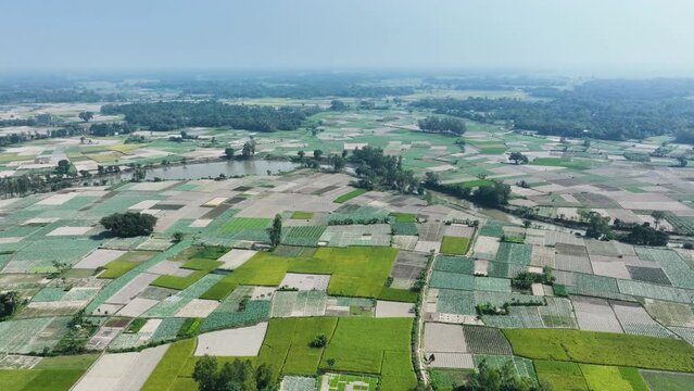 Aerial journey over a sprawling rural landscape, a vibrant kaleidoscope of colors painted by diverse agricultural practices. Patchwork quilt of fields,  showcasing the beauty of nature's palette
