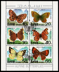 stamp set sheet printed by DPR Korea, shows Alpine Butterfles collection set, fauna, circa 1991