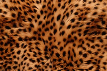 Zelfklevend Fotobehang Leopard skin texture background close up © stock_acc