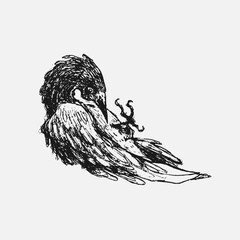 ink drawing with a crow or raven - 697811524