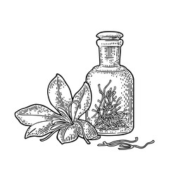 Bottle with saffron dry threads. Saffron flower with stamens. Engraving - 697812188