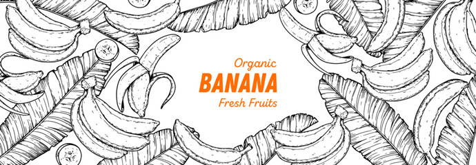 Ripe banana sketch. Hand drawn vector illustration. Tropical fruit. Packaging design, menu design, juice packaging. Banana frame.